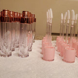 10 Pack Silver Lip Gloss Tubes with Wand